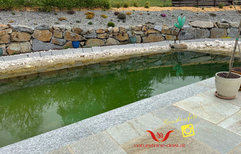 LUSERNA GNEIS GRAU / BLAU PREMIUM POOL-BECKENRAND-STEIN