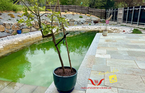 LUSERNA GNEIS GRAU / BLAU PREMIUM POOL-BECKENRAND-STEIN