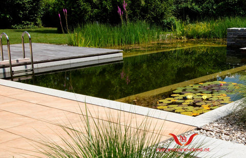 SCHREMSER GRANIT GRAU aus Österreich POOL-BECKENRAND-STEIN