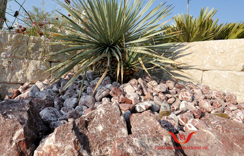 MARMOR ROUGE ROYAL ZIERKIES