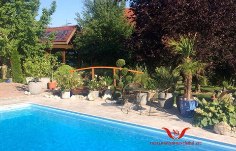 TRAVERTIN BEIGE-SILVER PREMIUM POOL-BECKENRAND-STEIN