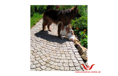 GRANIT GELB-GRAU PFLASTERSTEIN aus Europa