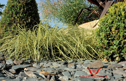 ARDESIA VERDE SCHIEFERPLÄTTCHEN