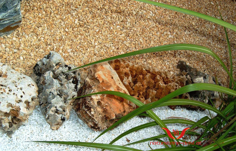 MARMOR GIALLO MORI ZIERSPLITT