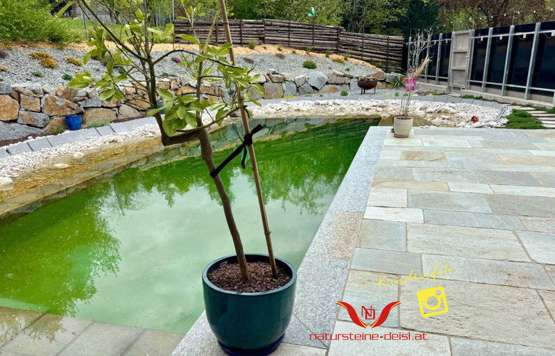 Luserna Gneis Mixcolor Poolumrandung