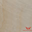 FEINSTEIN STEINOPTIK SANDSTEIN SAHARA BEIGE PLATTE