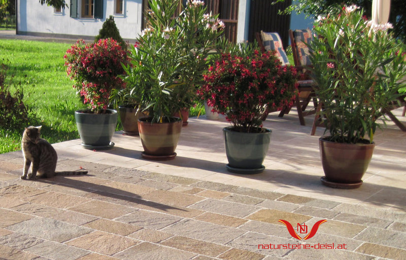 Travertin Noce Premium Terrassenplatten